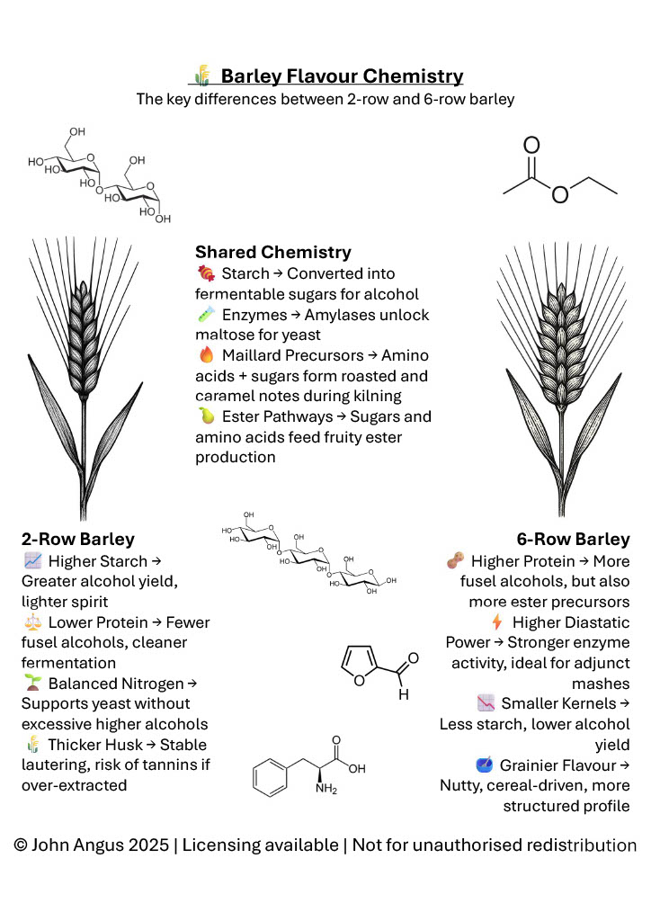 đź§Ş From Chemistry to Whisky: My Journey into the Science of Flavour
